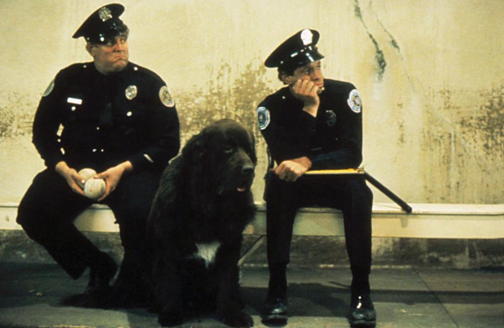 POLICE ACADEMY, Donovan Scott, Steve Guttenberg, 1984, (c) Warner Brothers