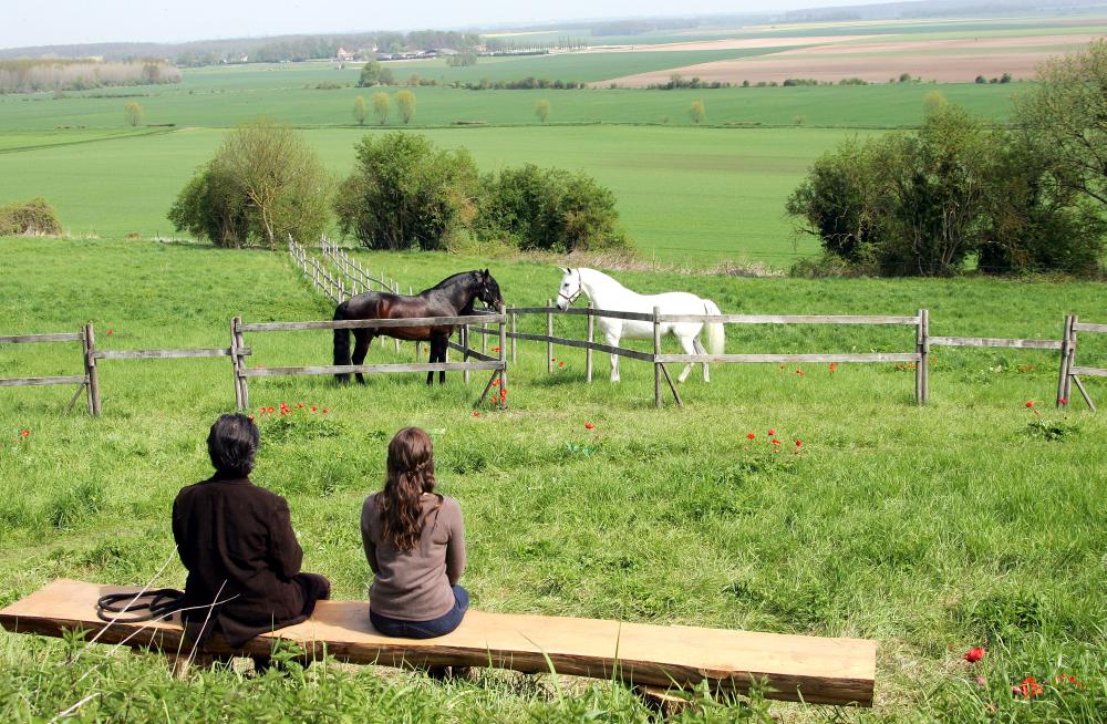 DANCE WITH HIM, (aka DANSE AVEC LUI), Sami Frey, Mathilde Seigner, 2007. ©Pan Européenne Distribution