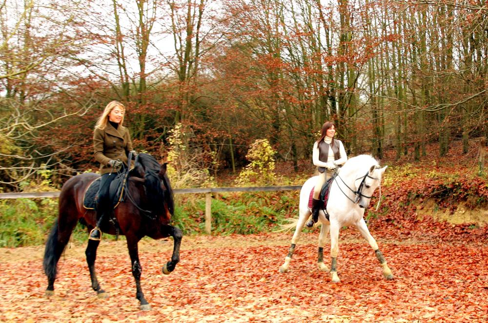 DANCE WITH HIM, (aka DANSE AVEC LUI), Elodie Navarre, Mathilde Seigner, 2007. ©Pan Européenne Distribution