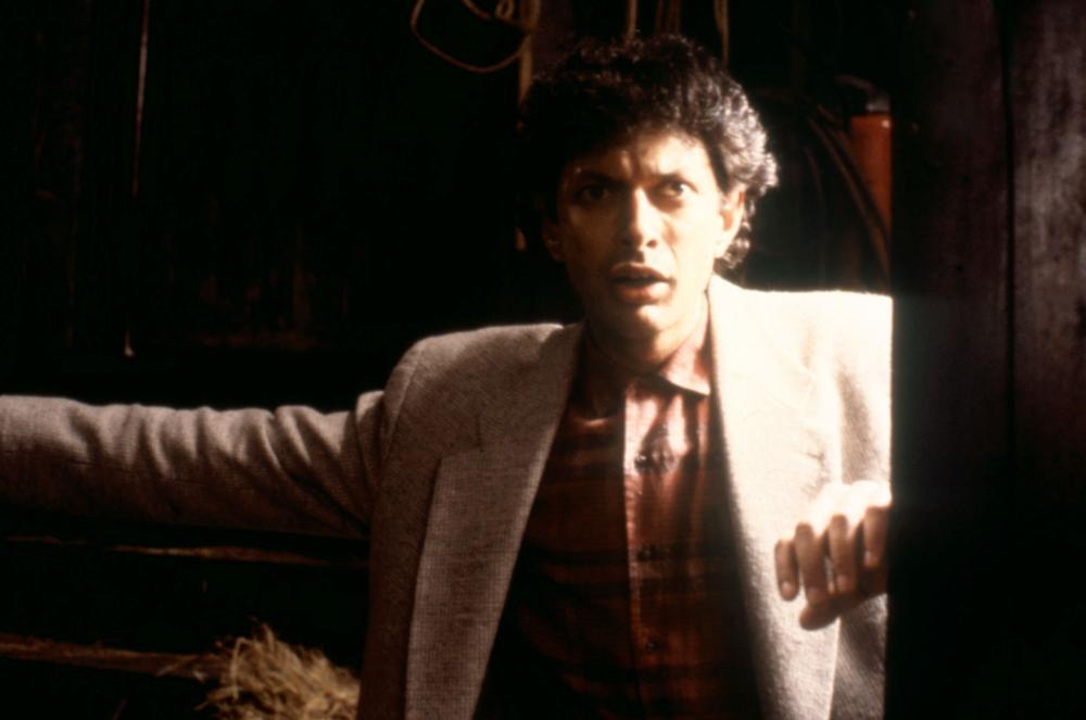 TRANSYLVANIA 6-5000, Jeff Goldblum, 1985, © New World Pictures