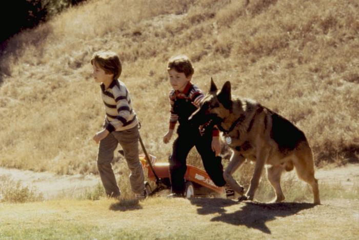 RADIO FLYER, Elijah Wood, Josep...