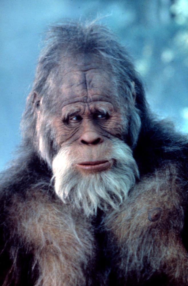 HARRY AND THE HENDERSONS, Kevin Peter, 1987