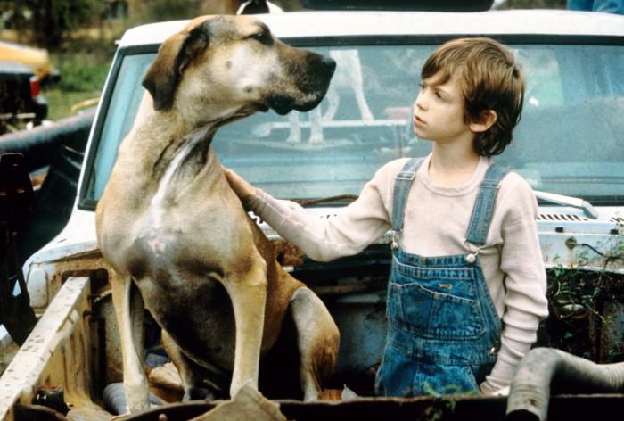 THE BIG GREEN, Bug Hall, 1995, ...