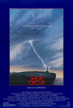 Cœur Ciruit - Les films en famille