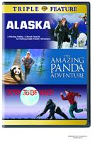Born To Be Wild Alaska The Amazing Panada Adventure