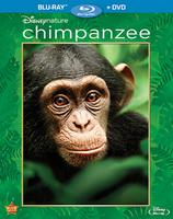 Disneynation: Chimpanzee