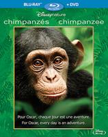 Disneynation: Chimpanzee