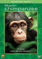 Disneynation: Chimpanzee